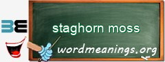 WordMeaning blackboard for staghorn moss